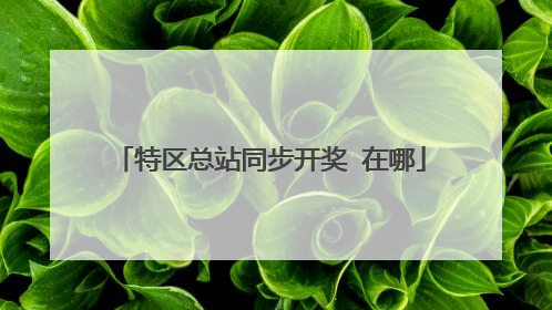 特区总站同步开奖 在哪