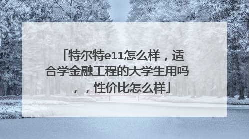 特尔特e11怎么样,适合学金融工程的大学生用吗 ,,性价比怎么样