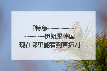 特急~~~~~~~~~~~~~~伊朗跟韩国现在哪里能看到直播?