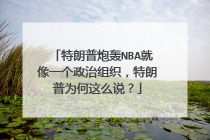 特朗普炮轰NBA就像一个政治组织，特朗普为何这么说？