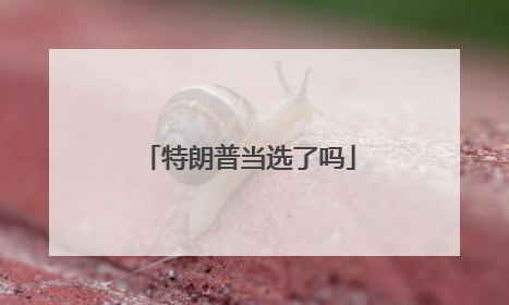 特朗普当选了吗