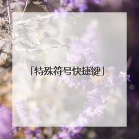 特殊符号快捷键