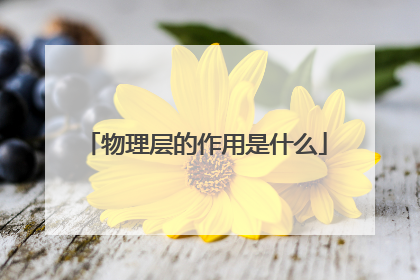 物理层的作用是什么