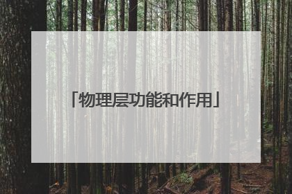 物理层功能和作用