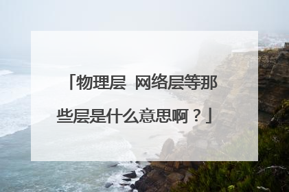 物理层 网络层等那些层是什么意思啊?