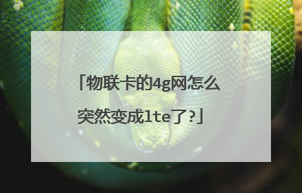 物联卡的4g网怎么突然变成lte了?