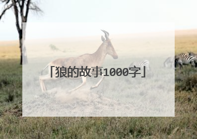 狼的故事1000字