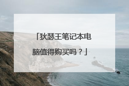狄瑟王笔记本电脑值得购买吗?