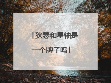 狄瑟和星轴是一个牌子吗