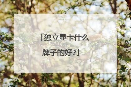 独立显卡什么牌子的好?