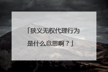 狭义无权代理行为是什么意思啊?