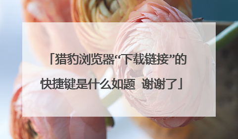 猎豹浏览器“下载链接”的快捷键是什么如题 谢谢了