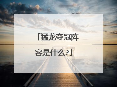 猛龙夺冠阵容是什么?