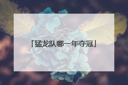 猛龙队哪一年夺冠