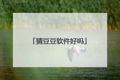 猜豆豆软件好吗