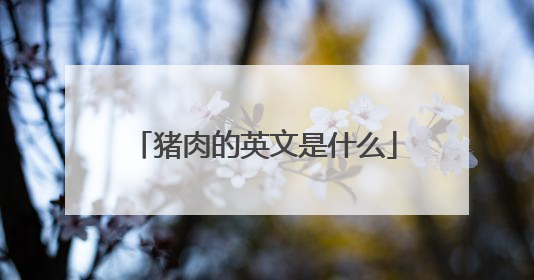 猪肉的英文是什么