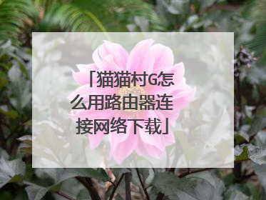 猫猫村G怎么用路由器连接网络下载