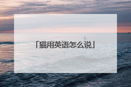 猫用英语怎么说