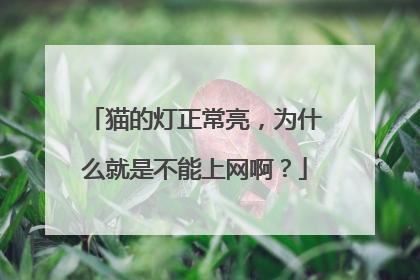 猫的灯正常亮,为什么就是不能上网啊?