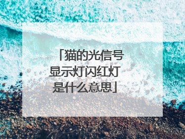 猫的光信号显示灯闪红灯是什么意思
