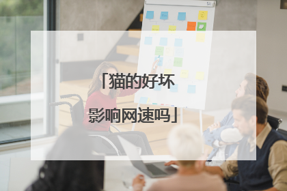 猫的好坏 影响网速吗