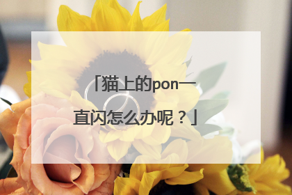 猫上的pon一直闪怎么办呢？