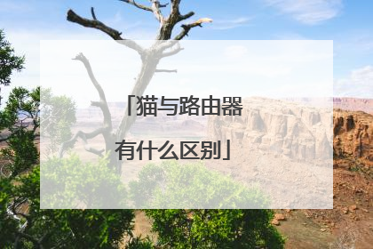 猫与路由器有什么区别