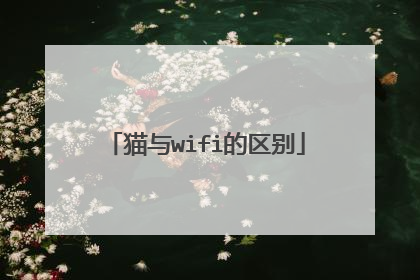 猫与wifi的区别
