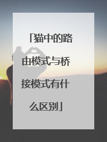 猫中的路由模式与桥接模式有什么区别