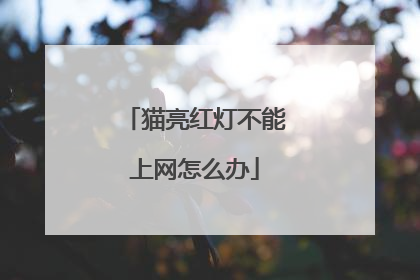猫亮红灯不能上网怎么办
