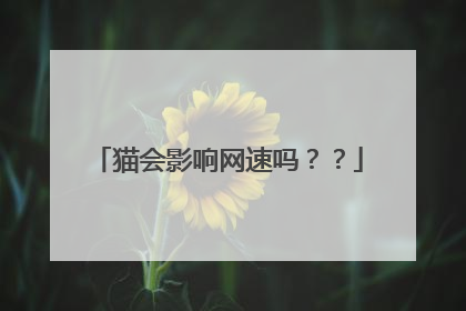 猫会影响网速吗？？