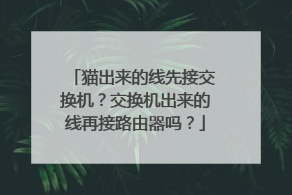 猫出来的线先接交换机?交换机出来的线再接路由器吗?