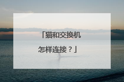 猫和交换机怎样连接？