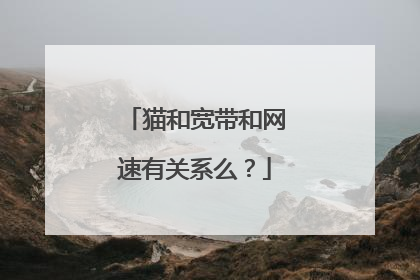 猫和宽带和网速有关系么？