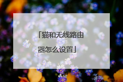 猫和无线路由器怎么设置