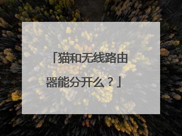 猫和无线路由器能分开么？