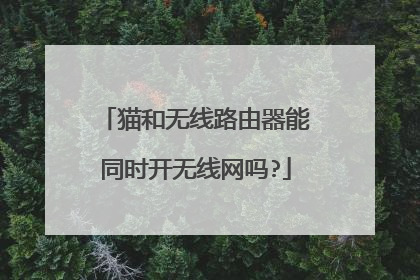 猫和无线路由器能同时开无线网吗?