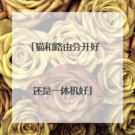 猫和路由分开好 还是一体机好