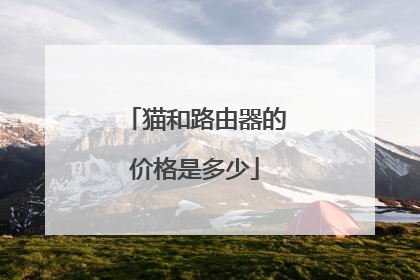 猫和路由器的价格是多少