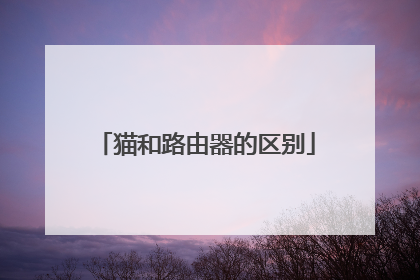 猫和路由器的区别