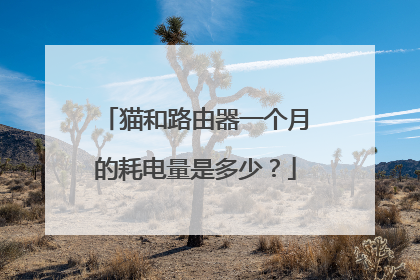 猫和路由器一个月的耗电量是多少？
