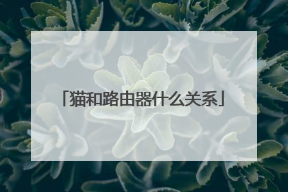 猫和路由器什么关系