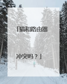 猫和路由器冲突吗？