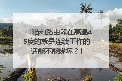 猫和路由器在高温45度的就是连续工作的话能不能烧坏?