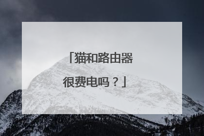 猫和路由器很费电吗?