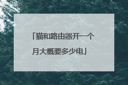 猫和路由器开一个月大概要多少电