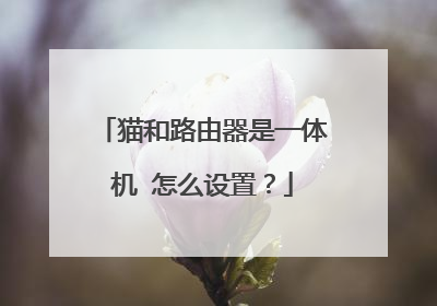 猫和路由器是一体机 怎么设置？