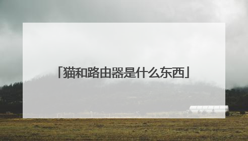 猫和路由器是什么东西