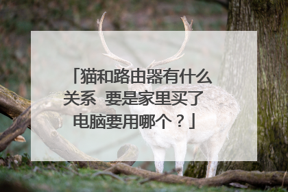 猫和路由器有什么关系 要是家里买了电脑要用哪个？