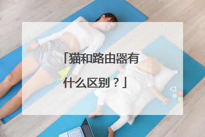 猫和路由器有什么区别？
